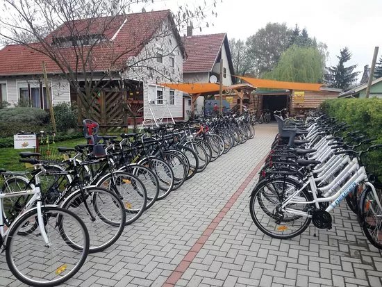 Gesztenye Biciklikolcsonzo