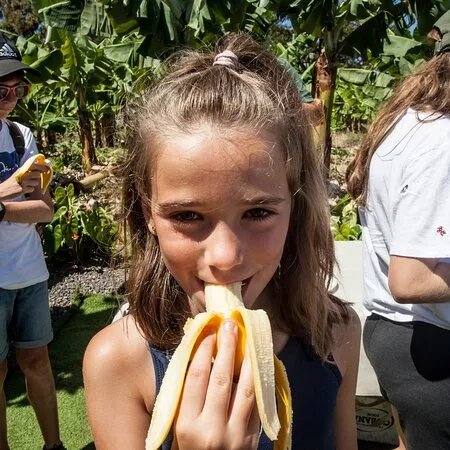 bananaECOplantation