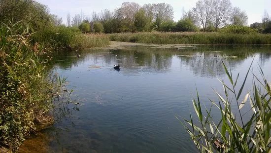 Aula Natura Marjal de Gandia