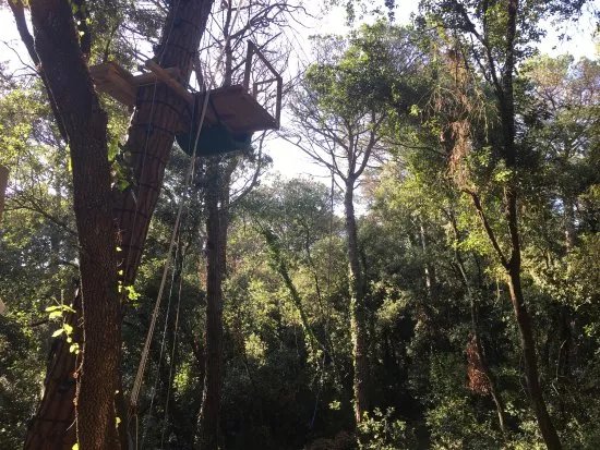 El Bosc Vertical