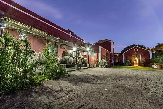 Bodega San Juan - Museo del Vino