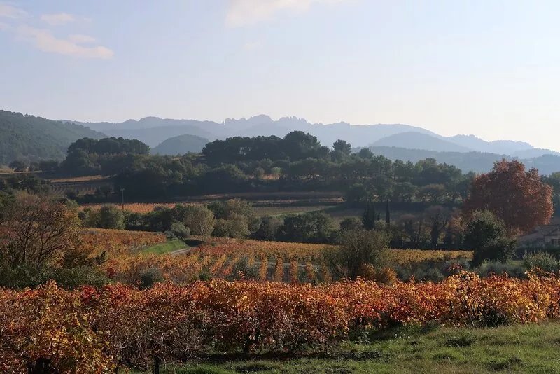 Family house in Provençal village with large garden, 5 ch. 12 pers.