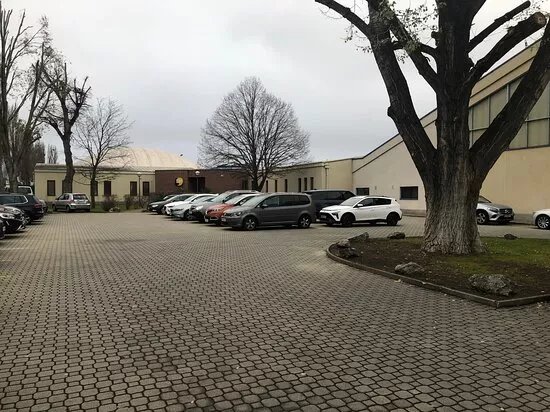 Tennis Wien Leistungszentrum