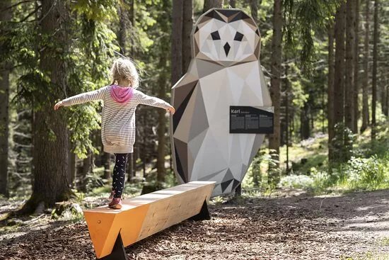 Wald-Wild-Wunder-Weg