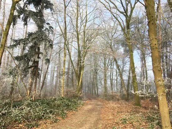Hunensteine I + II bei Damme