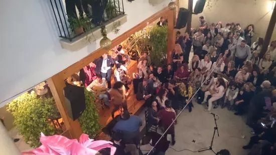 Pena Flamenca La Buleria