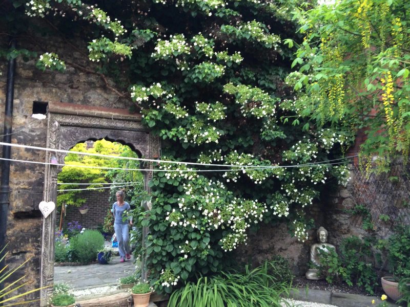 Sacred Garden Retreat