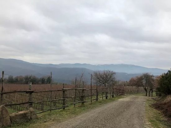 Pomaio - Wines & Hospitality