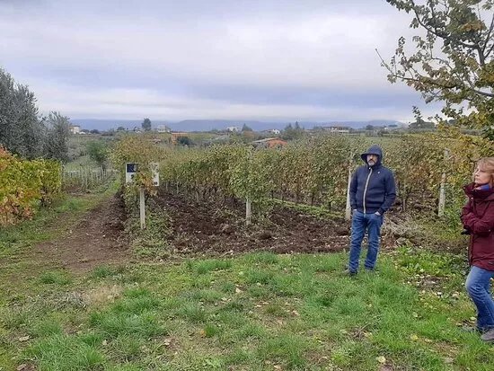 Cantina Del Tufaio