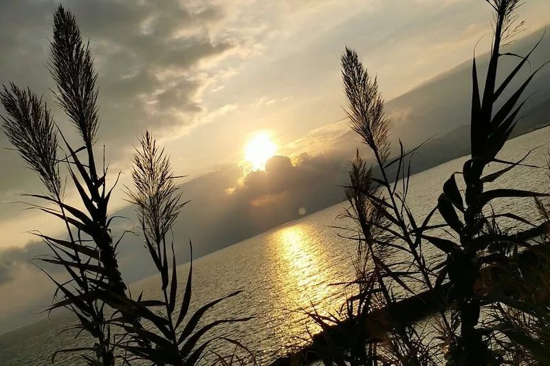 Arma Di Taggia: A real bath of sun and sea! The Wonderful seaview  house for