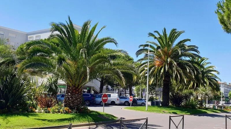 Le Petit Pas Gite  in a tranquil setting surrounded by vineyards and sunflowers