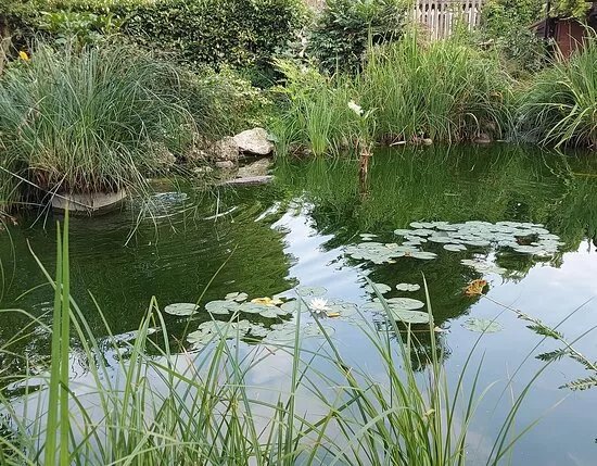 Parco Della Ghiringhella