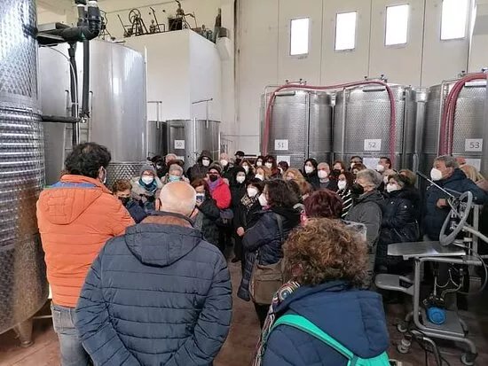 Cantina Francesco Malena