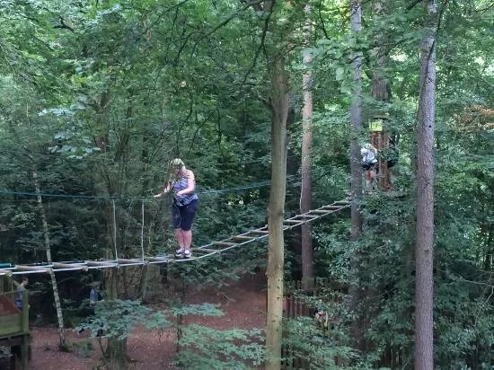 Go Ape Black Park