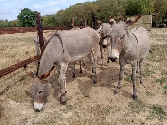 Au Domaine D’Esthine