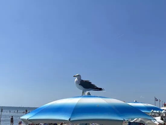 Piper Beach