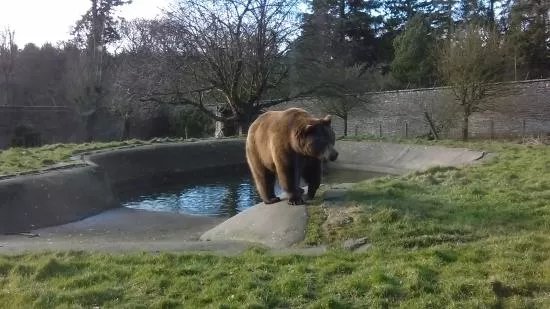 Camperdown Wildlife Centre