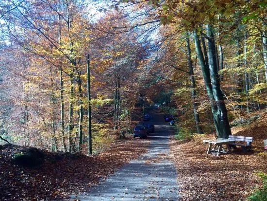 Schopketal Oerlinghausen