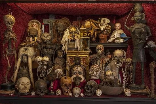 The Viktor Wynd Museum of Curiosities, Fine Art & UnNatural History