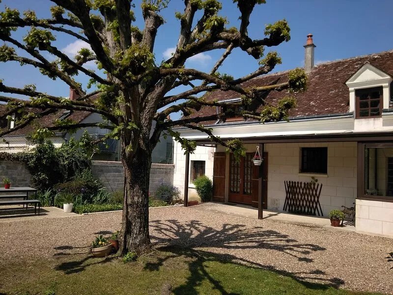 "Le Clos St Vincent 41" between Chenonceau and Beauval