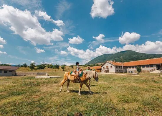 Rozino Organic Farm