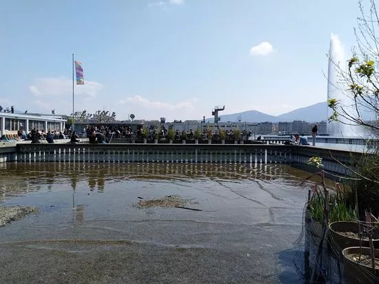 Bains des Paquis