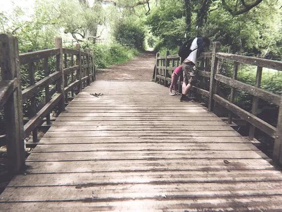 Poohsticks Bridge