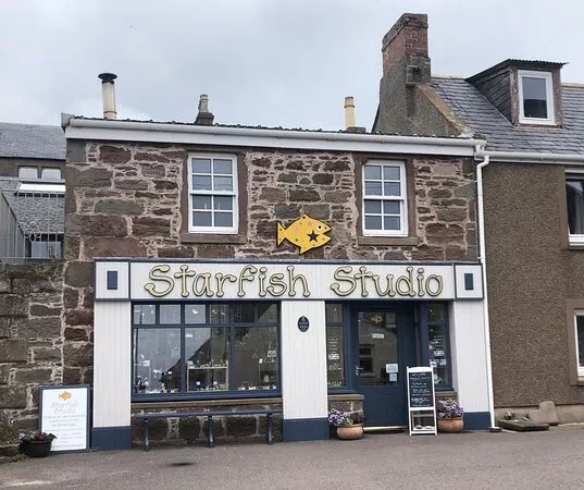 Starfish Studio
