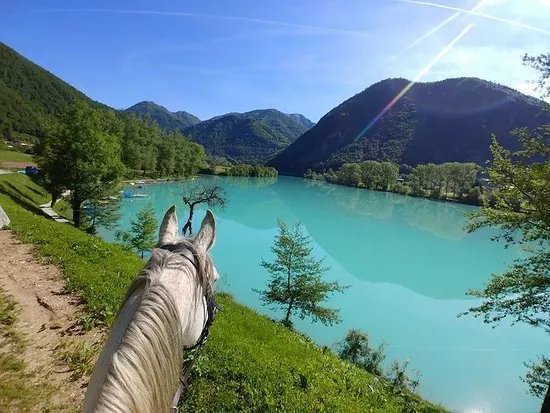 Horse Riding Club Ranch Pelance