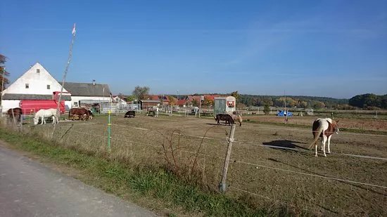 Kinder starken durch Pferde
