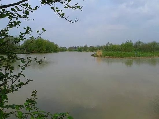 Millhouse Fisheries