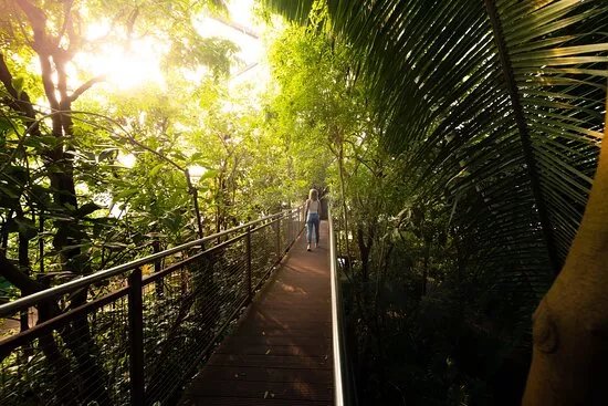 Papiliorama