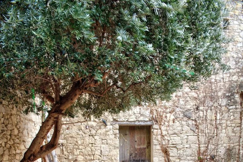 200 year old, large townhouse with romantic patio