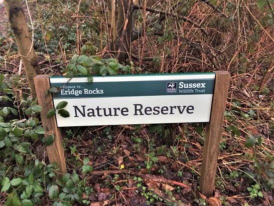 Eridge Rocks Nature Reserve
