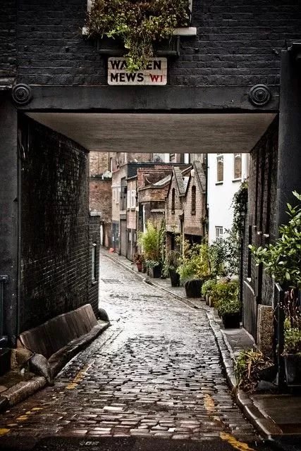 Warren Street Maze