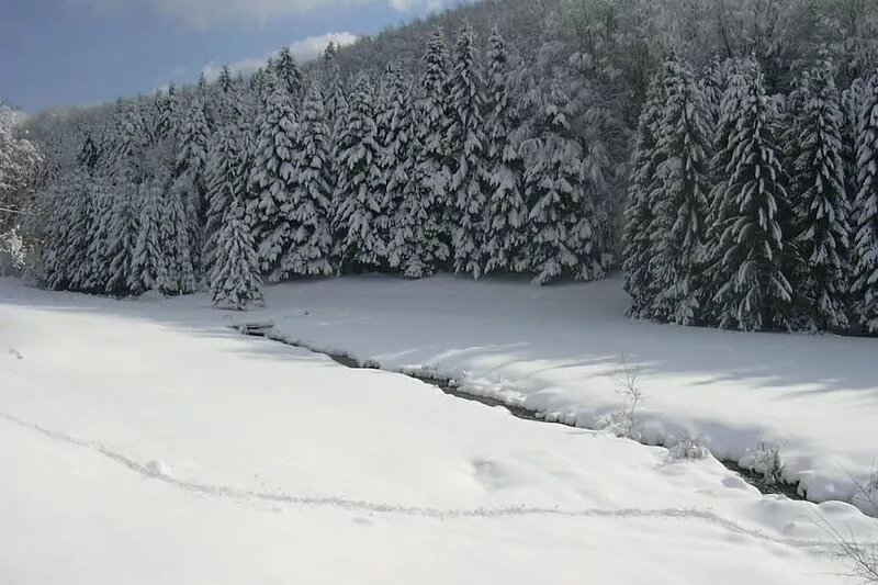 the old mill cottage 15 minutes from Gerardmer