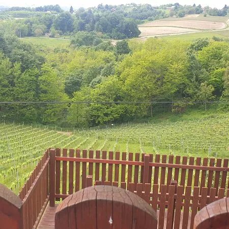 Wine House Dvanajscak-Kozol