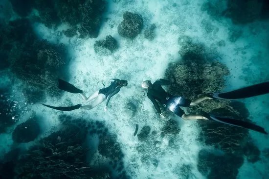 Freedive Mallorca