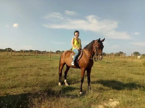Centre Equestre Domaine Vieil Amandier