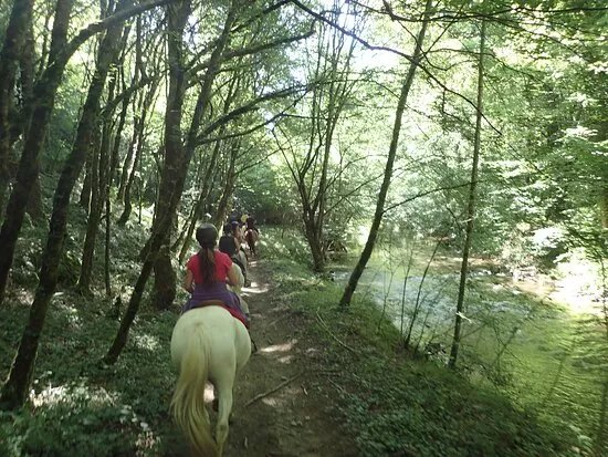 Ferme Equestre des Ribieres