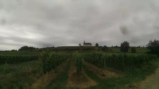 Weingut Klosterhof Loesch