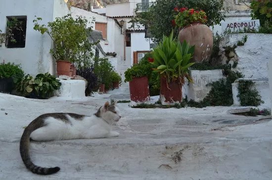 A Gem Called Athens