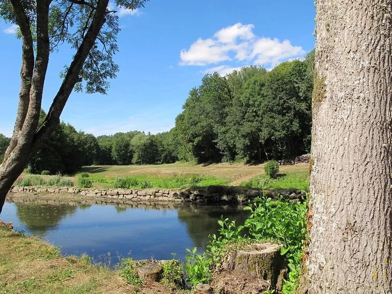 Gite surrounded by nature next to the river situated in the Morvan regional park