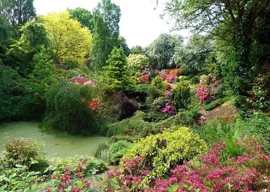 Russells Patio & Garden Centre