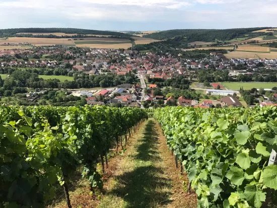 Weingaertner Markelsheim