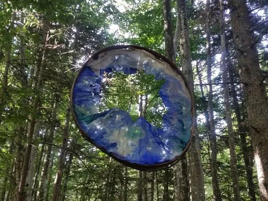 Il Respiro Degli Alberi