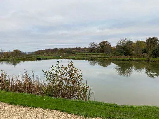 Bransford Fisheries