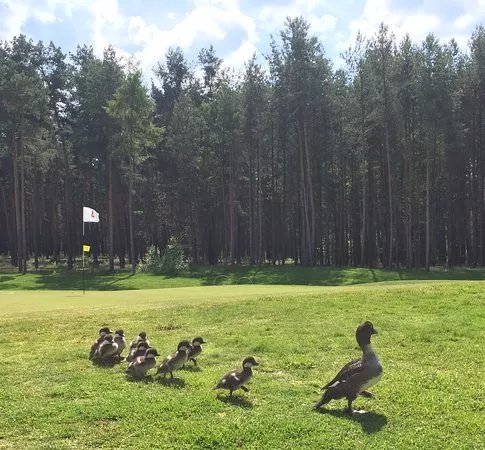 Berliner Golf- und Country Club Motzener See