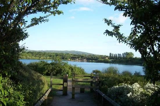 Astbury Mere Country Park