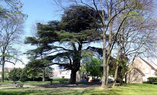 Parc du Cedre